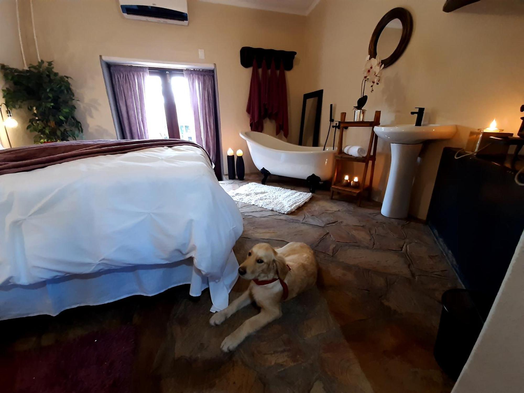 Apartamento Rosenhof Manor House - Since 1847 Clanwilliam Exterior foto